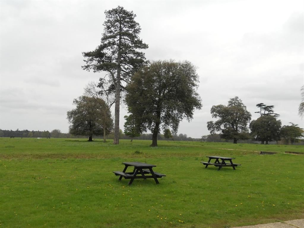 Bed and Breakfast The Stables At Henham Park Southwold Esterno foto