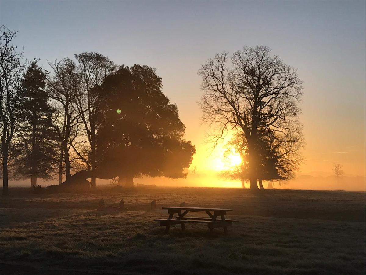 Bed and Breakfast The Stables At Henham Park Southwold Esterno foto